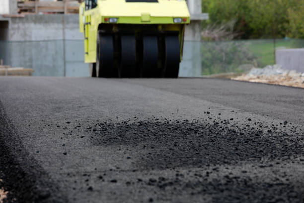 Best Custom Driveway Pavers  in Hamburg, IA